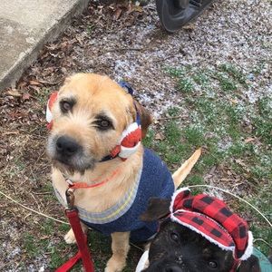 Meet your Posher, Ethan